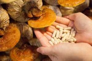 reishi mushroom liver health food-med-min