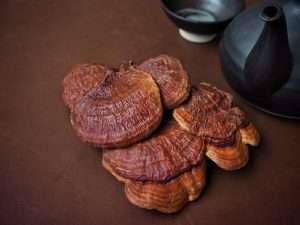 reishi mushroom weight loss-min